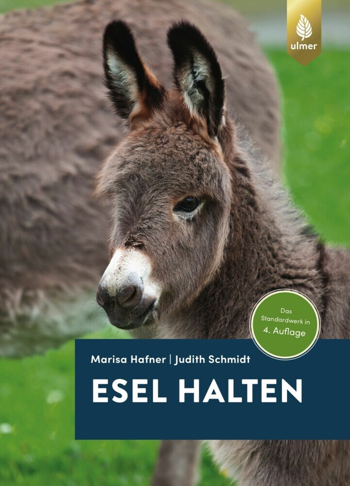 Esel halten main product photo