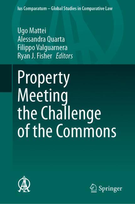 Property Meeting the Challenge of the Commons main product photo