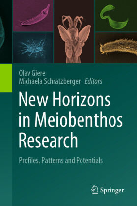New Horizons in Meiobenthos Research