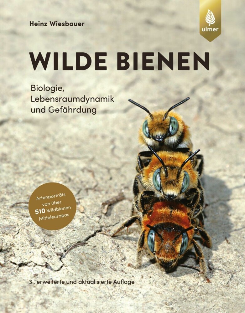 Wilde Bienen main product photo