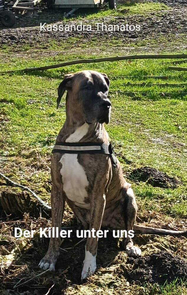 Der Killer unter uns main product photo