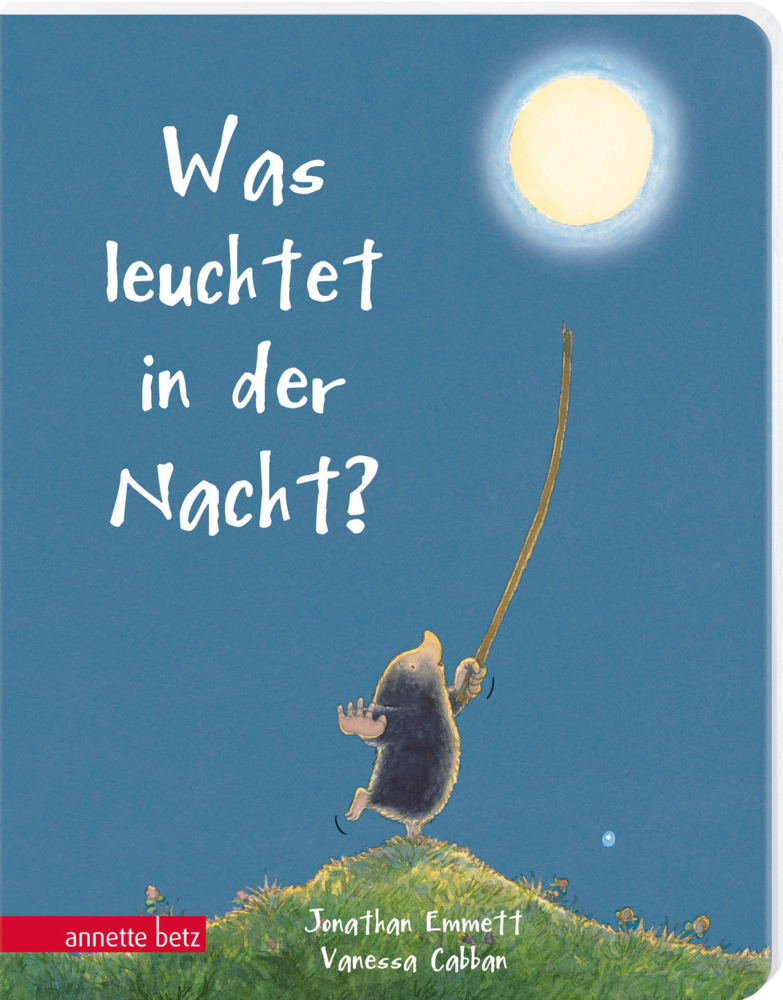 Was leuchtet in der Nacht? main product photo