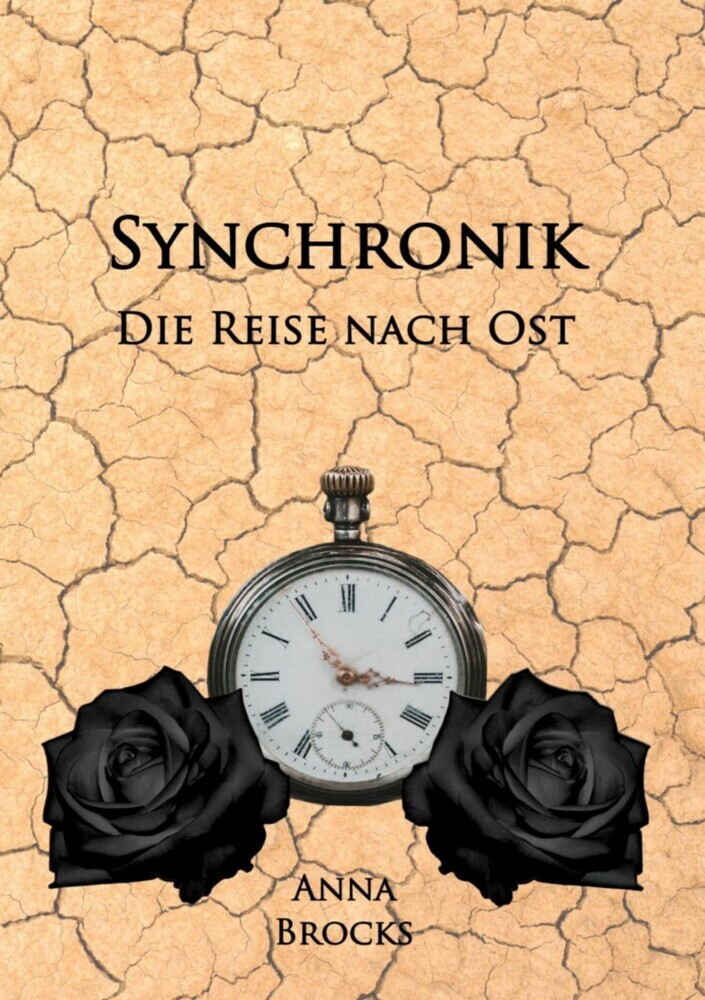 Synchronik main product photo
