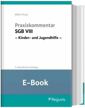 Praxiskommentar SGB VIII - Kinder- und Jugendhilfe (E-Book)