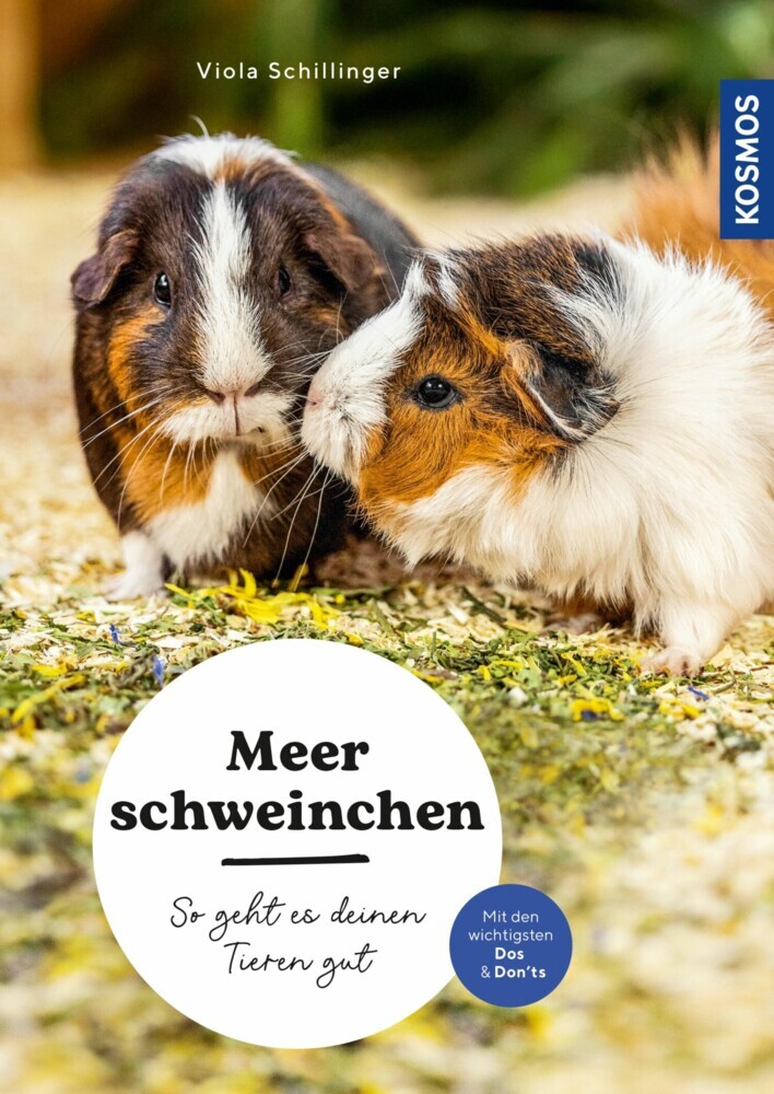 Meerschweinchen main product photo