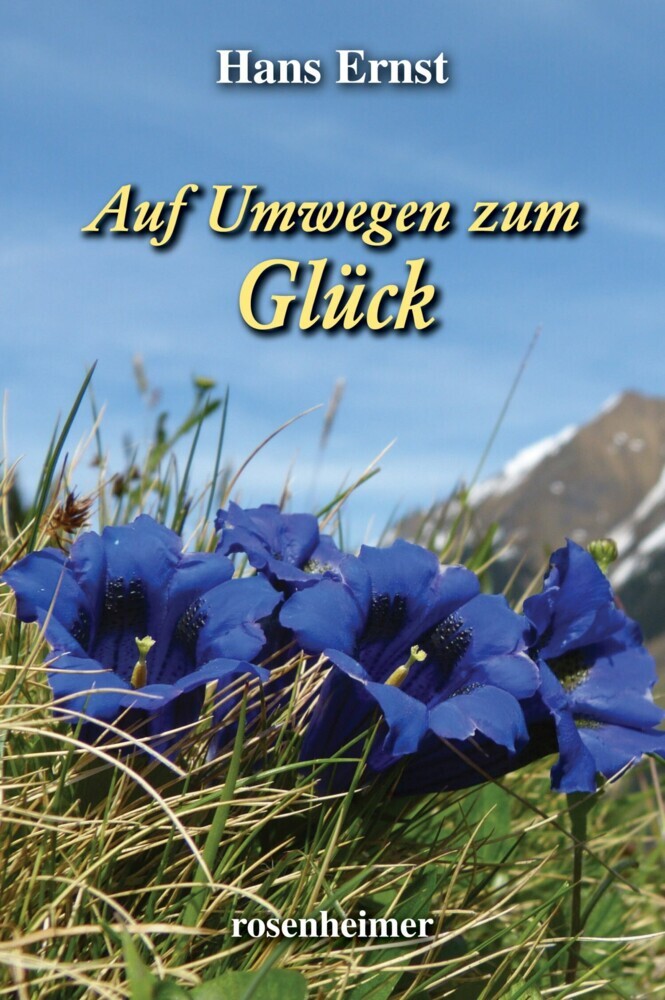 Auf Umwegen zum Glück main product photo