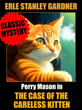 The Case of the Careless Kitten