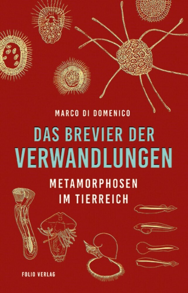 Das Brevier der Verwandlungen main product photo