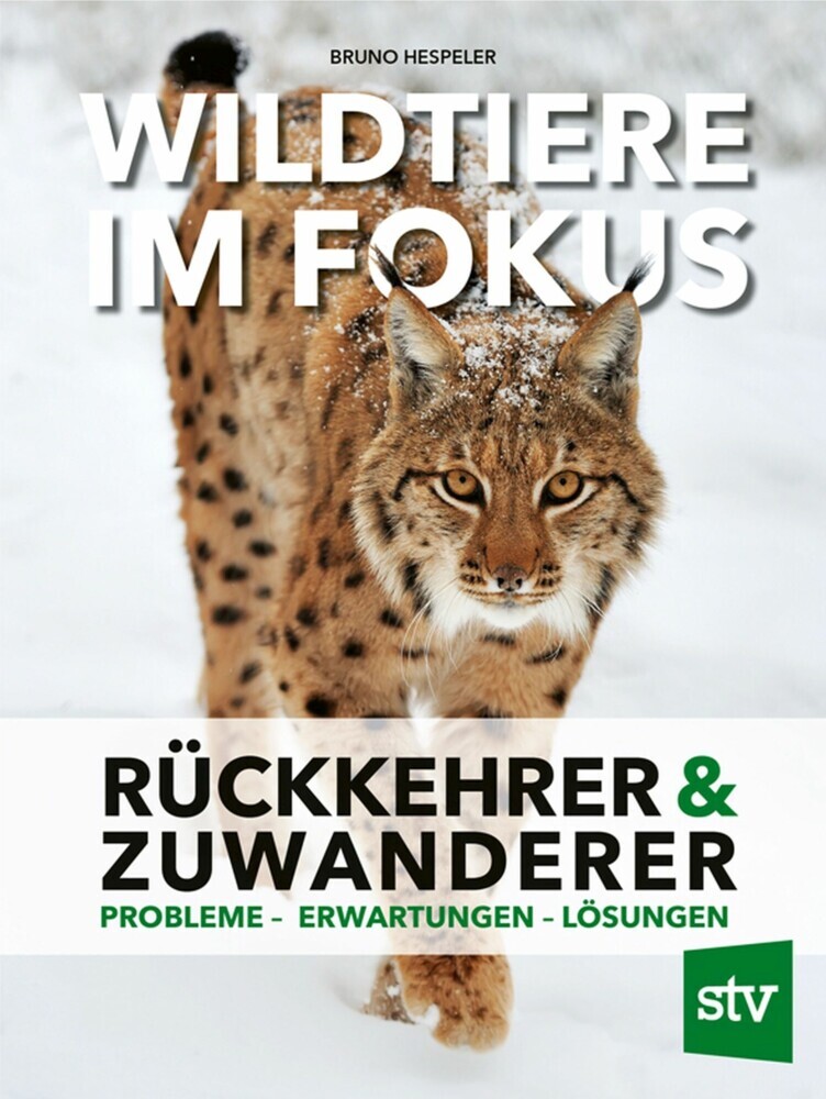 Wildtiere im Fokus main product photo