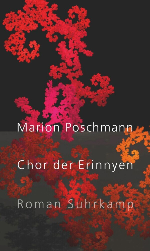 Chor der Erinnyen main product photo