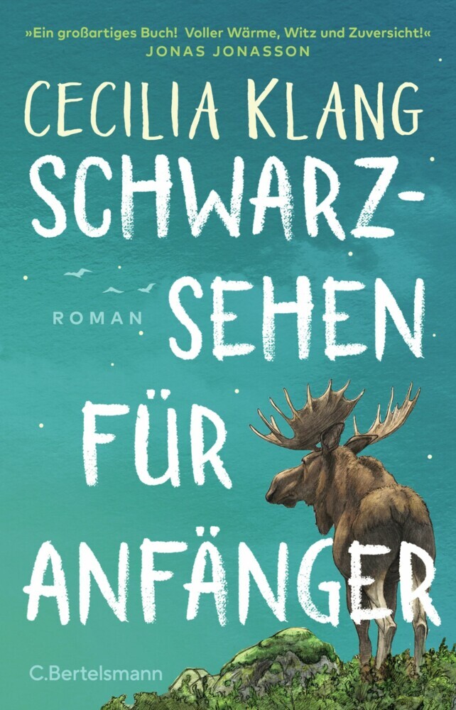Schwarzsehen für Anfänger main product photo