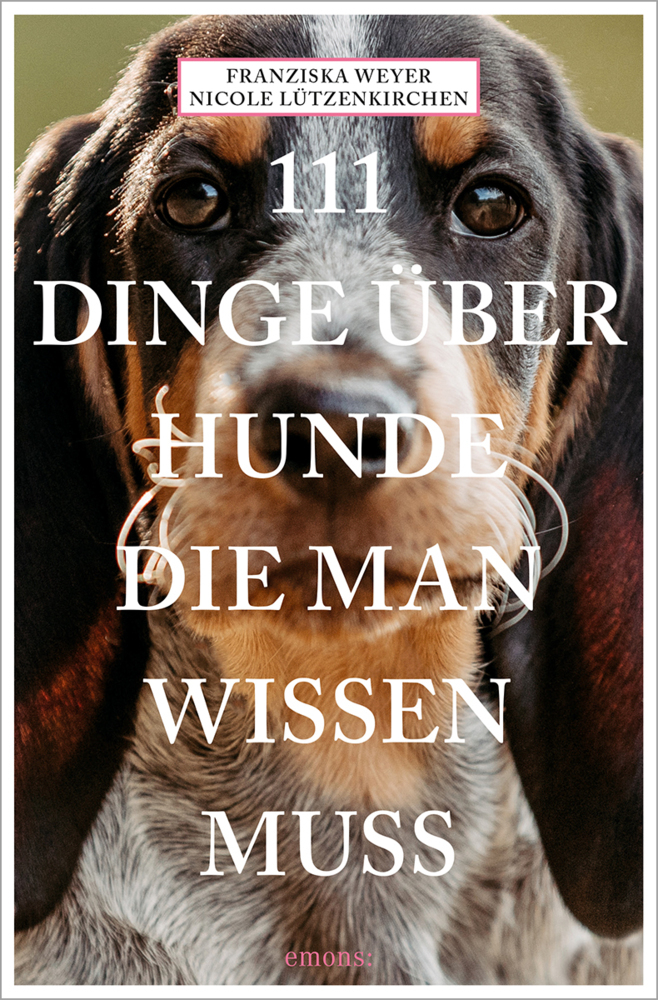 111 Dinge über Hunde, die man wissen muss main product photo