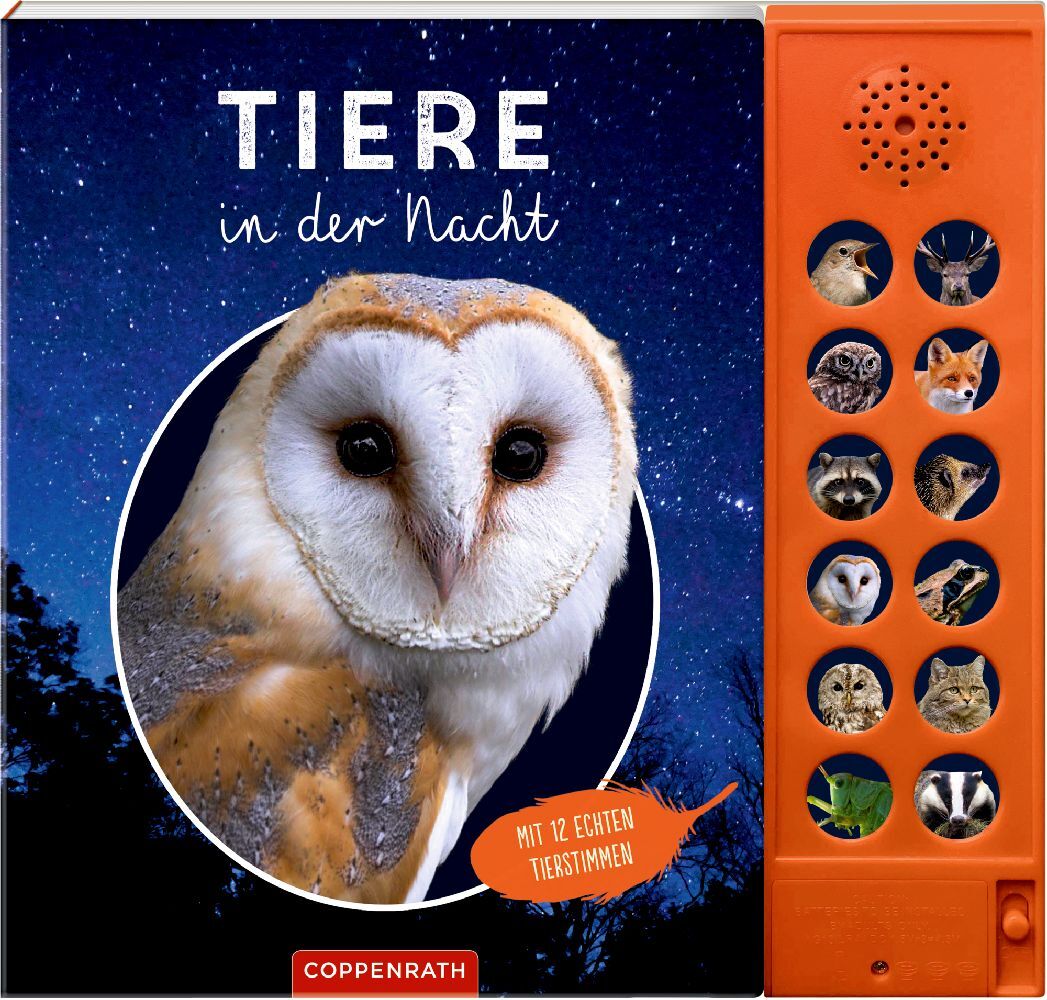 Tiere in der Nacht main product photo