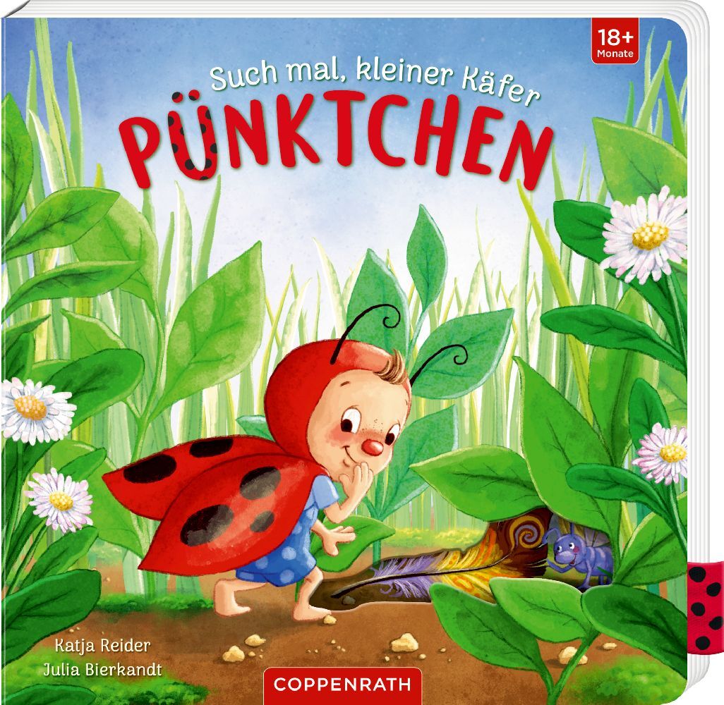 Such mal, kleiner Käfer Pünktchen main product photo