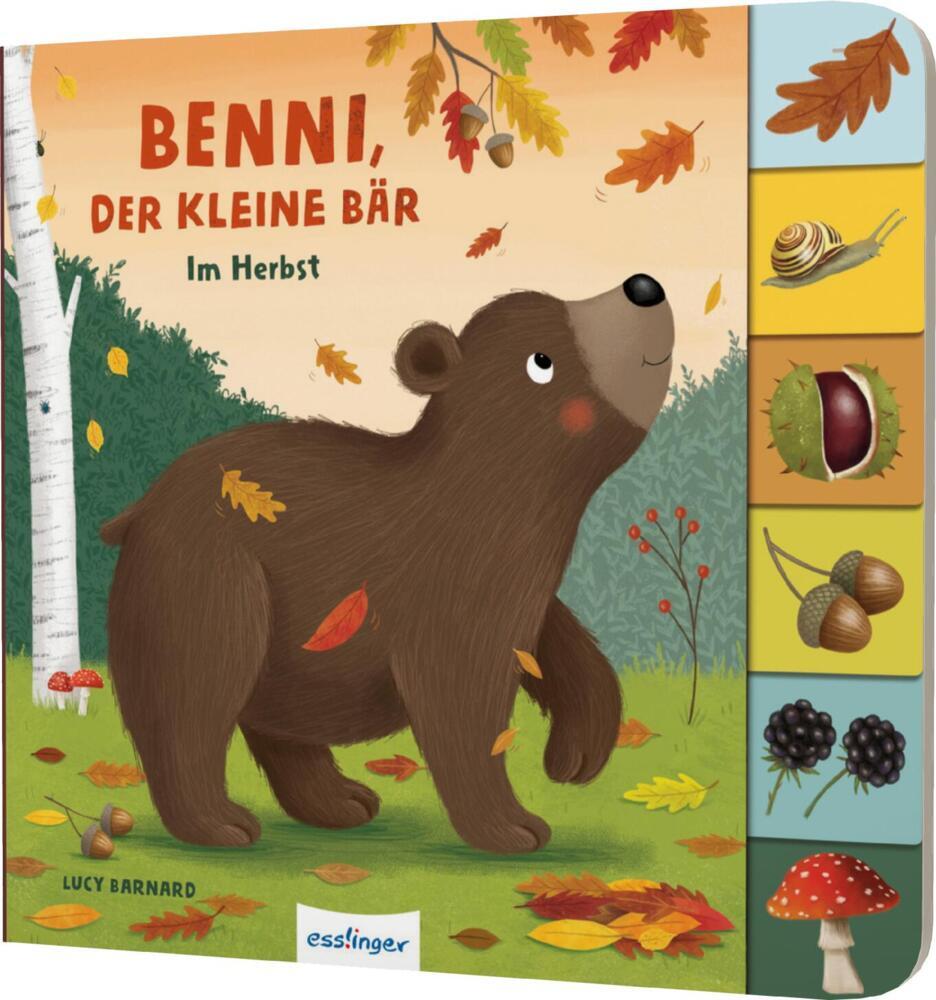 Mein erstes Jahreszeitenbuch: Benni, der kleine Bär main product photo