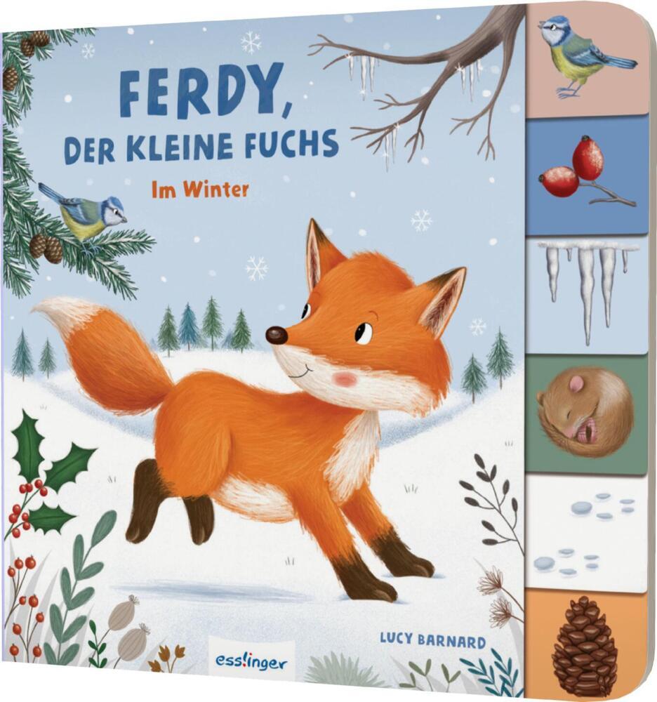 Mein erstes Jahreszeitenbuch: Ferdy, der kleine Fuchs main product photo