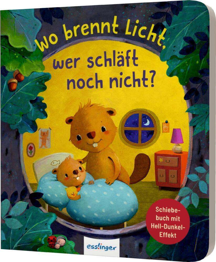 Wo brennt Licht, wer schläft noch nicht? main product photo