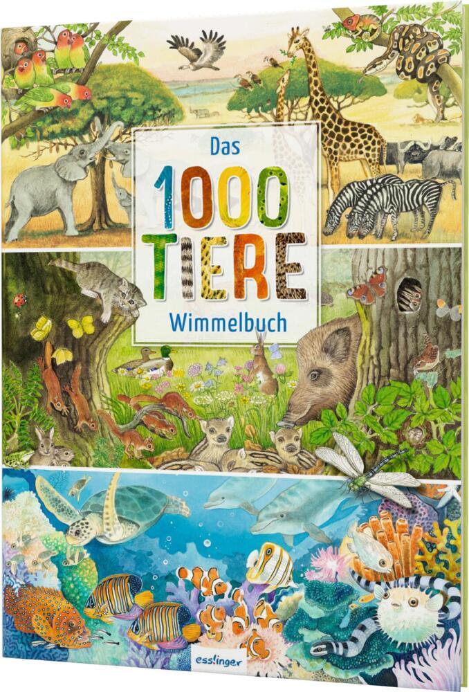 Das 1000 Tiere-Wimmelbuch main product photo