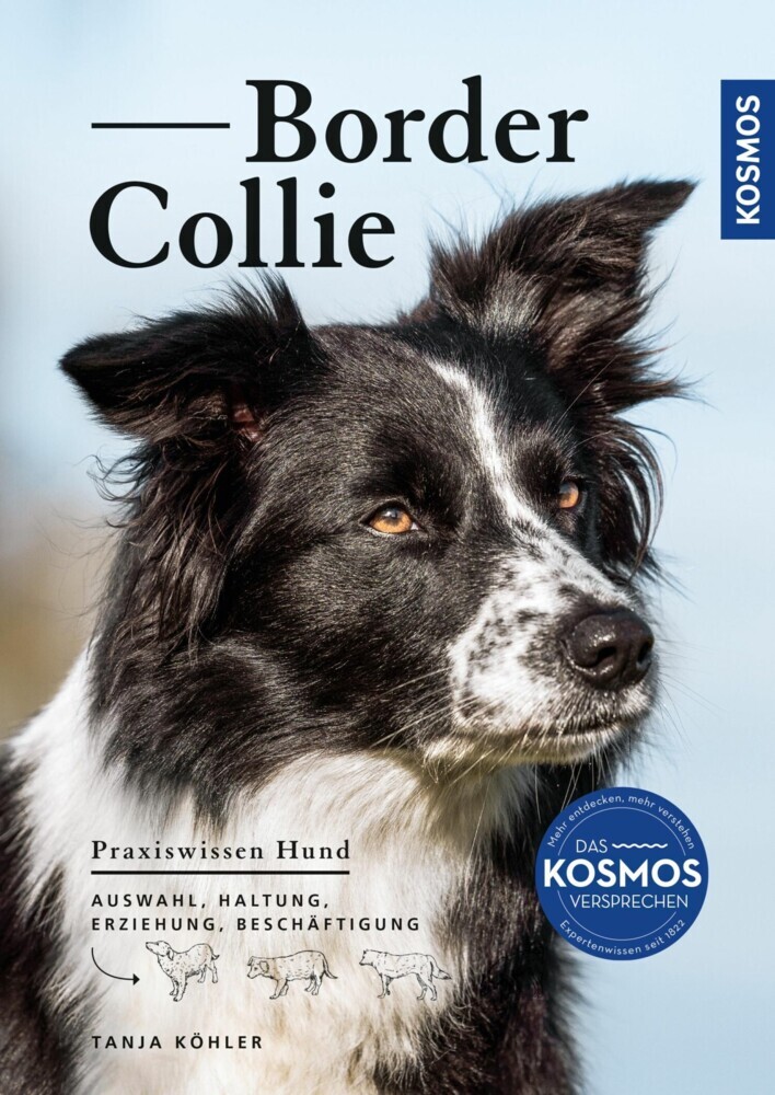 Border Collie main product photo