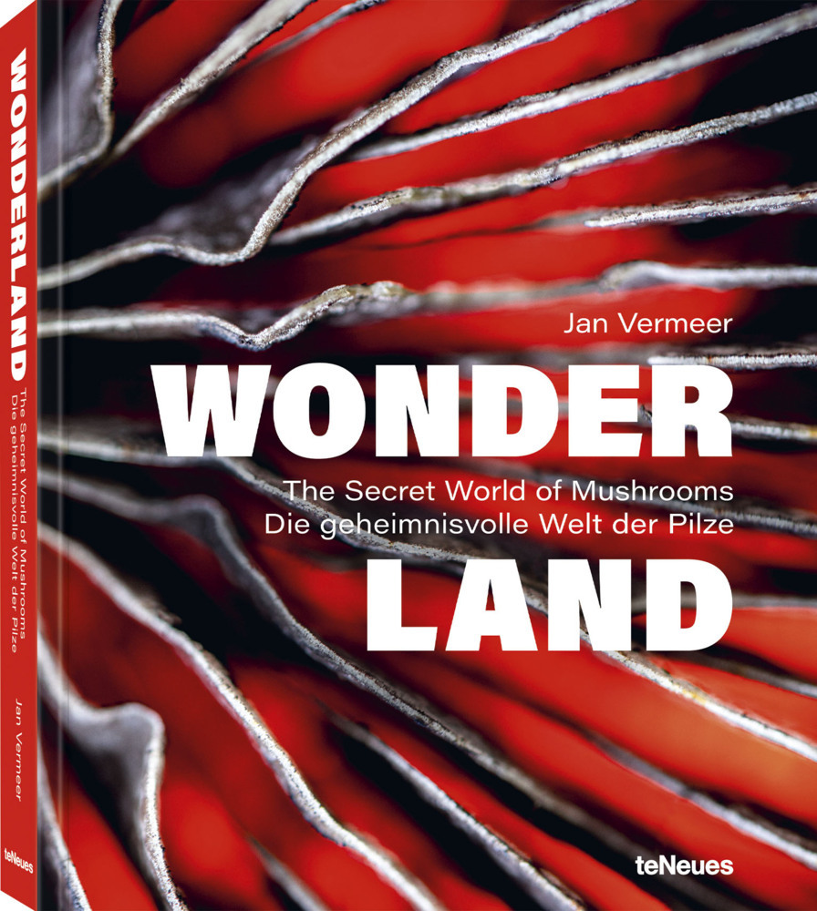 Wonderland main product photo