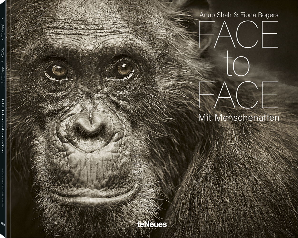 Face to Face main product photo