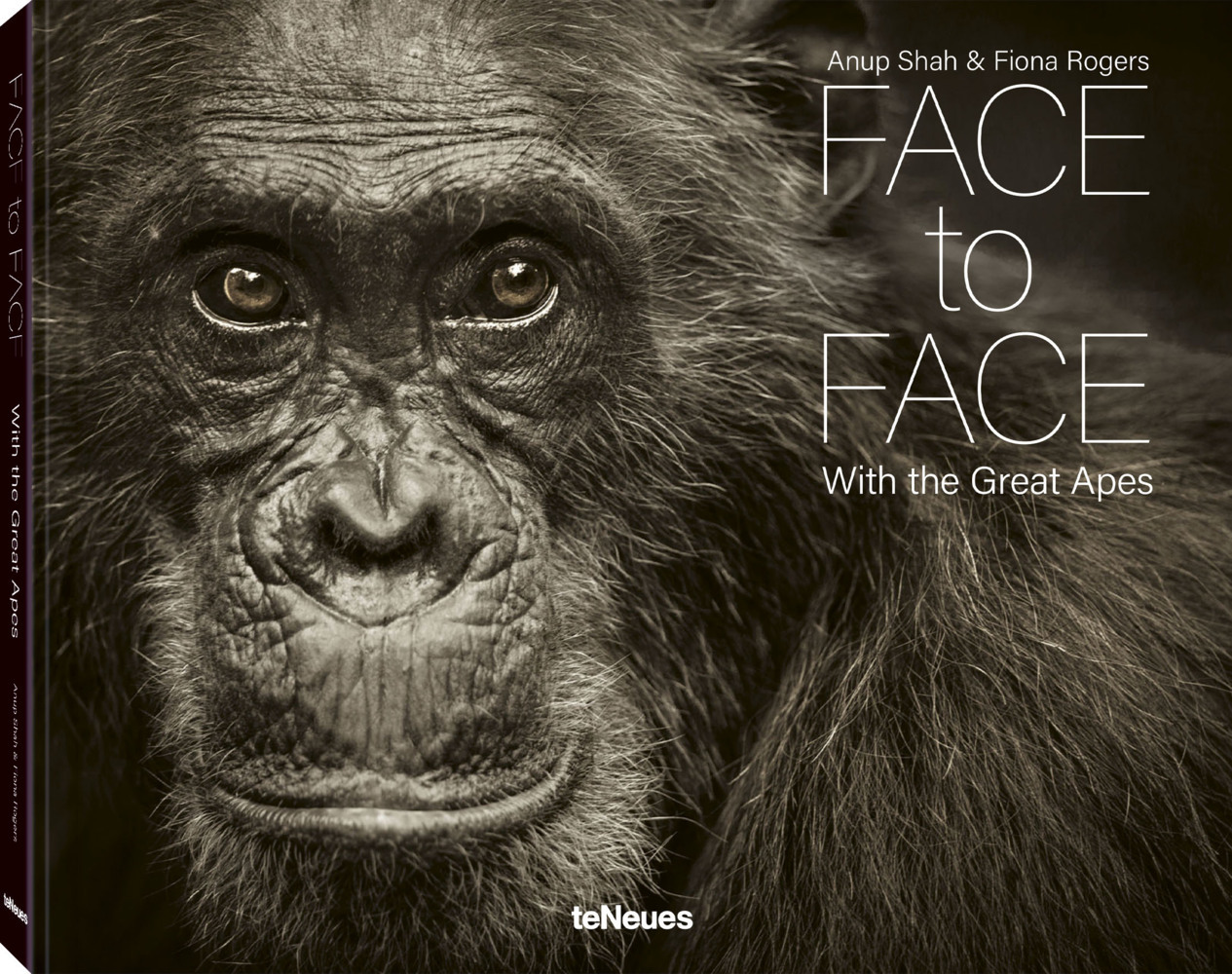 Face to Face main product photo