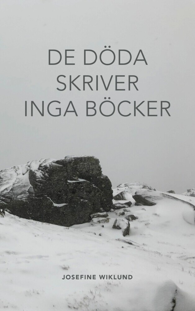 De döda skriver inga böcker main product photo