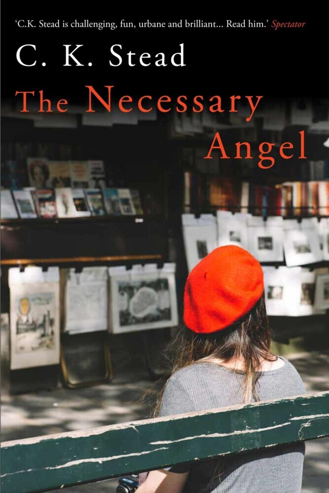 The Necessary Angel main product photo