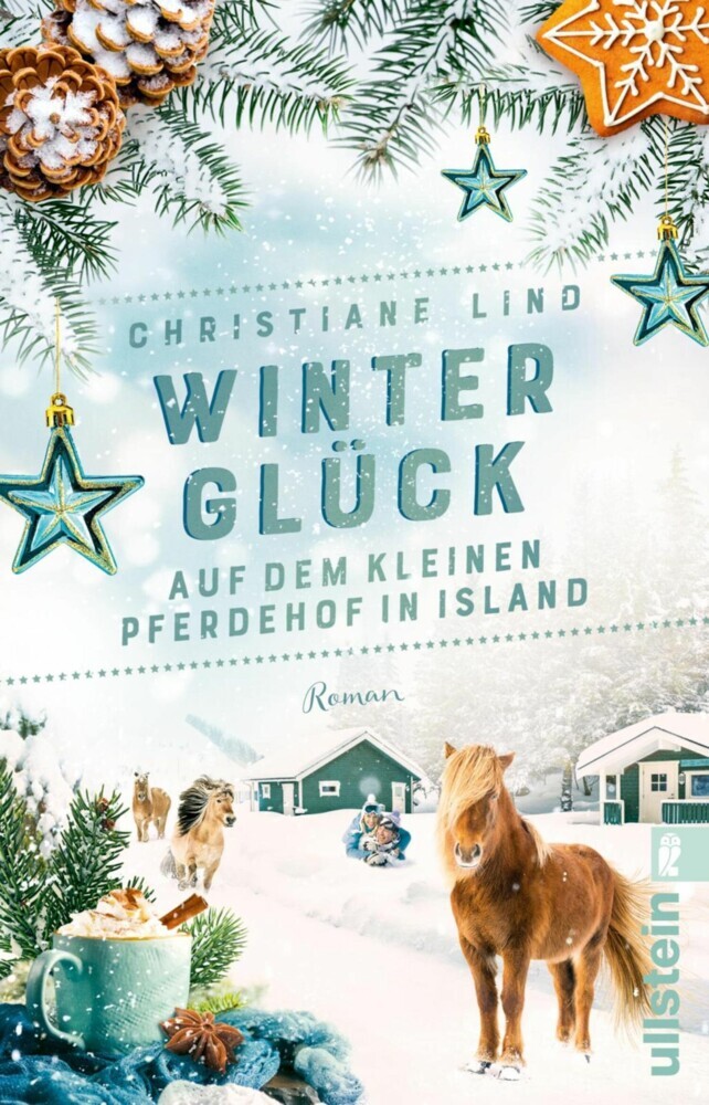 Winterglück auf dem kleinen Pferdehof in Island main product photo