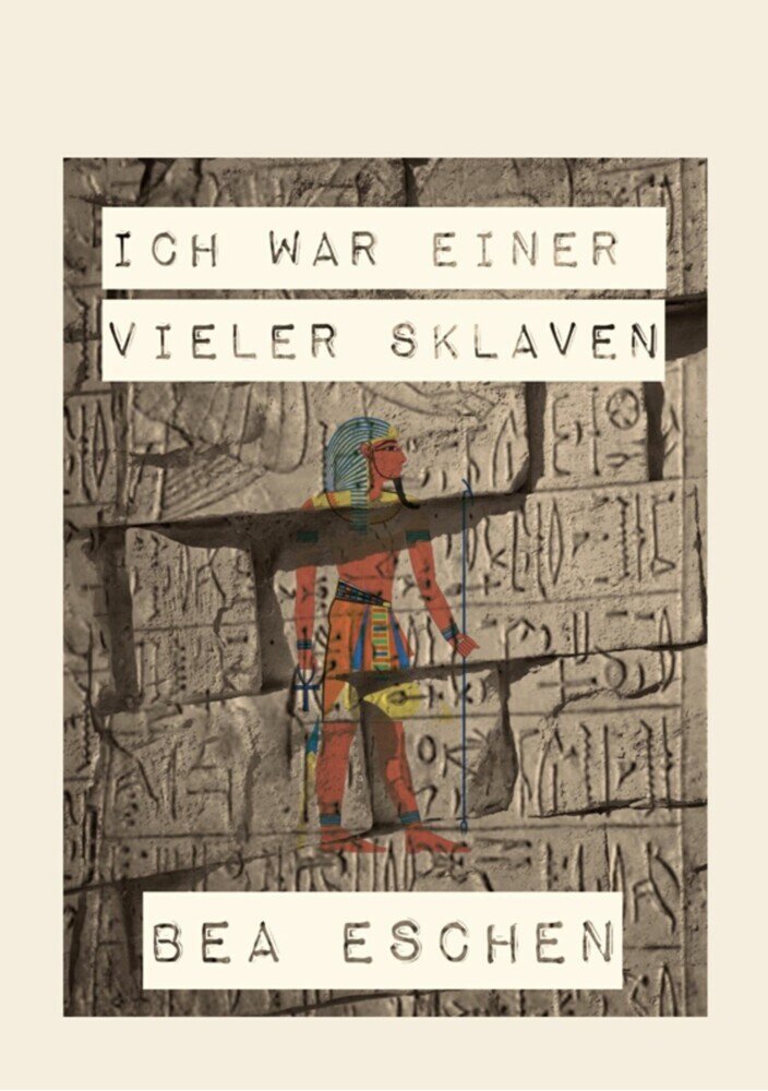 Ich war einer vieler Sklaven main product photo
