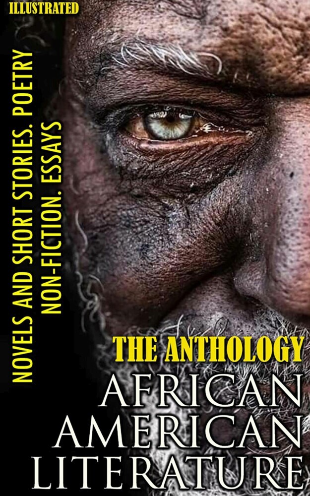 The Anthology. African American literature. Novels and short stories. Poetry. Non-fiction. Essays. Illustrated main product photo