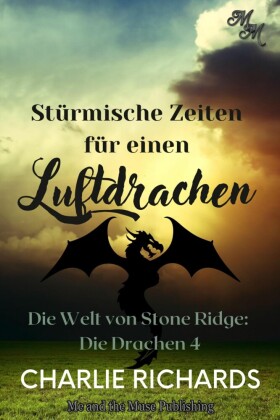 Stürmische Zeiten für einen Luftdrachen
