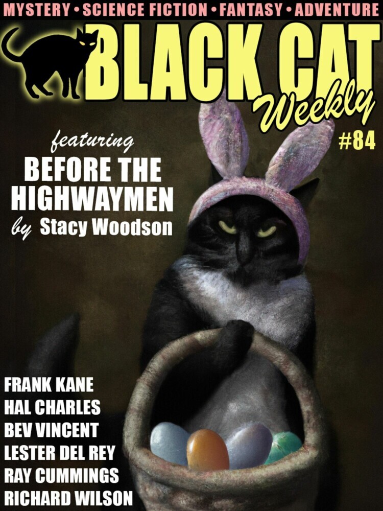 Black Cat Weekly #84 main product photo