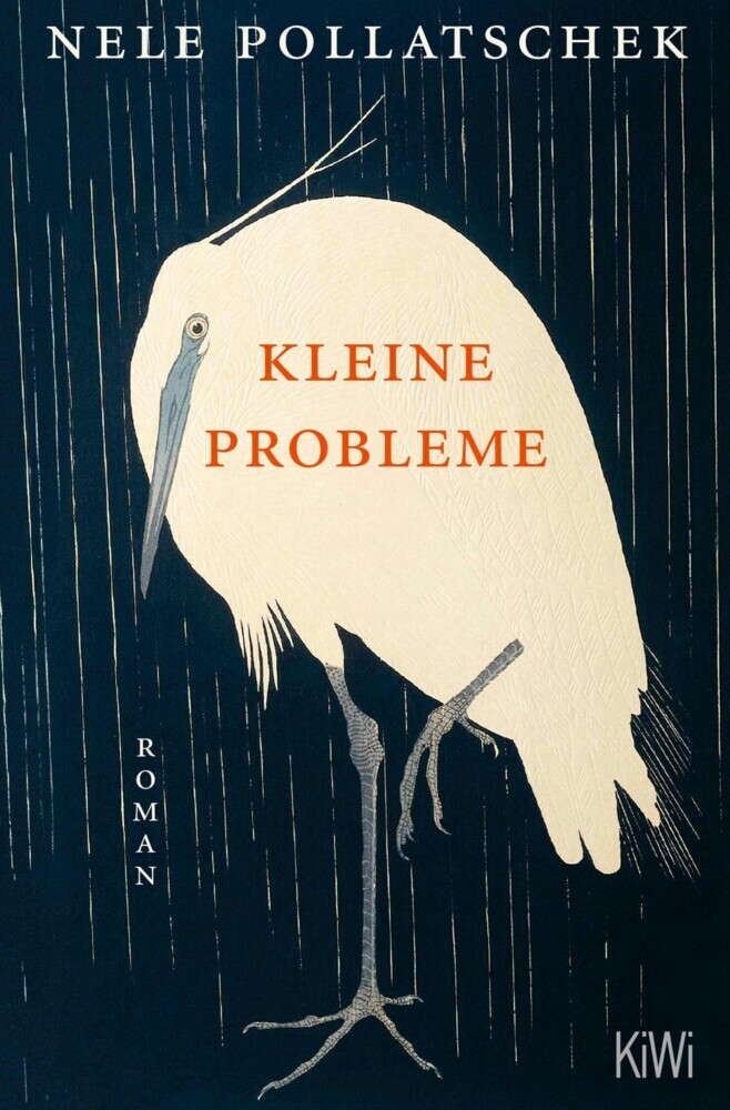 Kleine Probleme main product photo