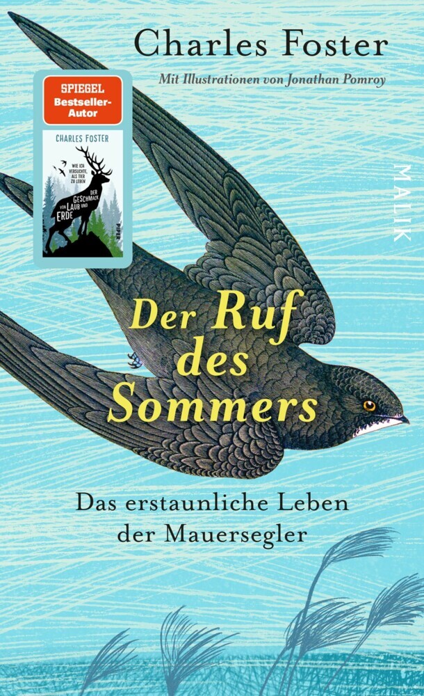 Der Ruf des Sommers main product photo