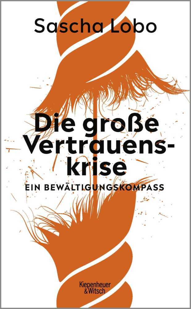 Die große Vertrauenskrise main product photo