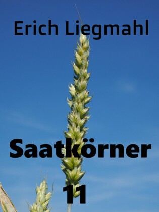 Saatkörner 11
