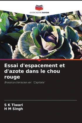 Essai d'espacement et d'azote dans le chou rouge