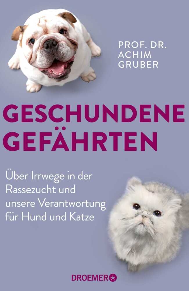 Geschundene Gefährten main product photo