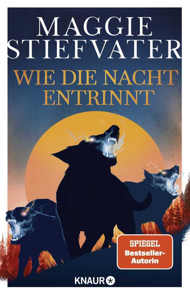 Wie die Nacht entrinnt main product photo