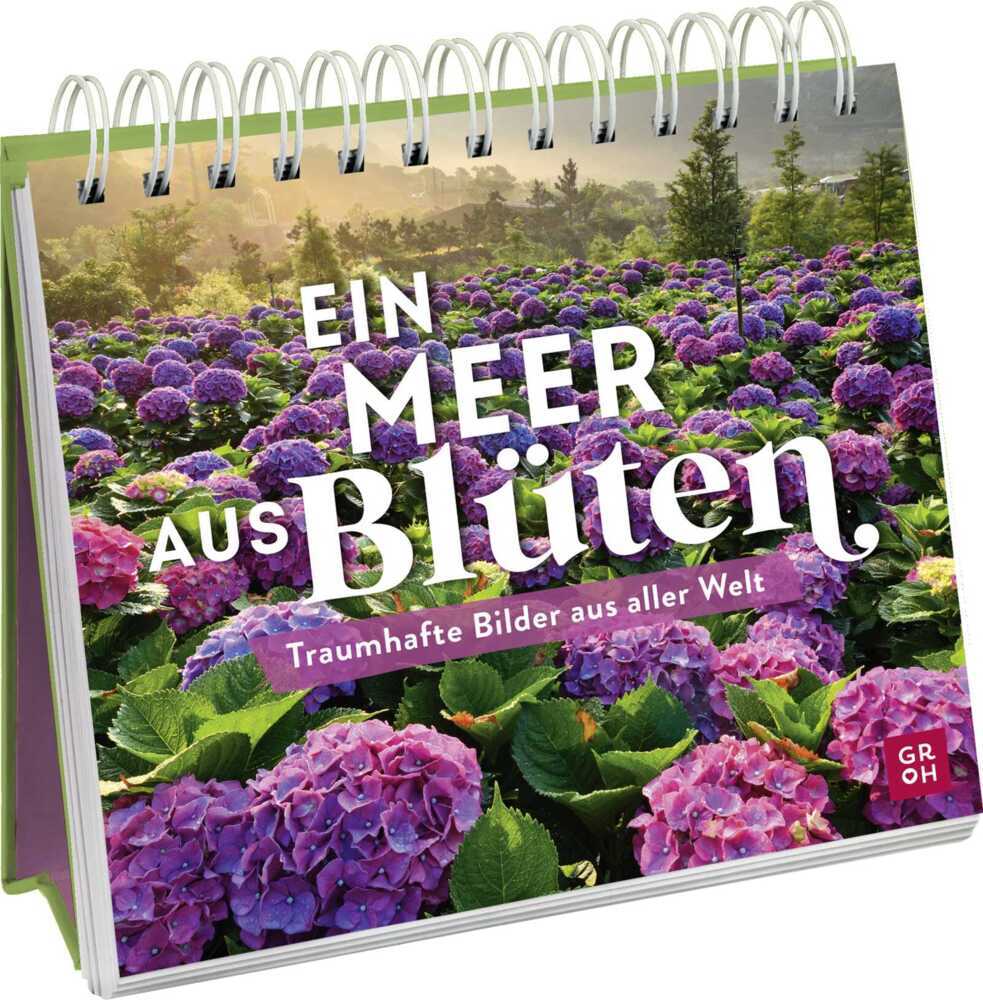 Ein Meer aus Blüten main product photo