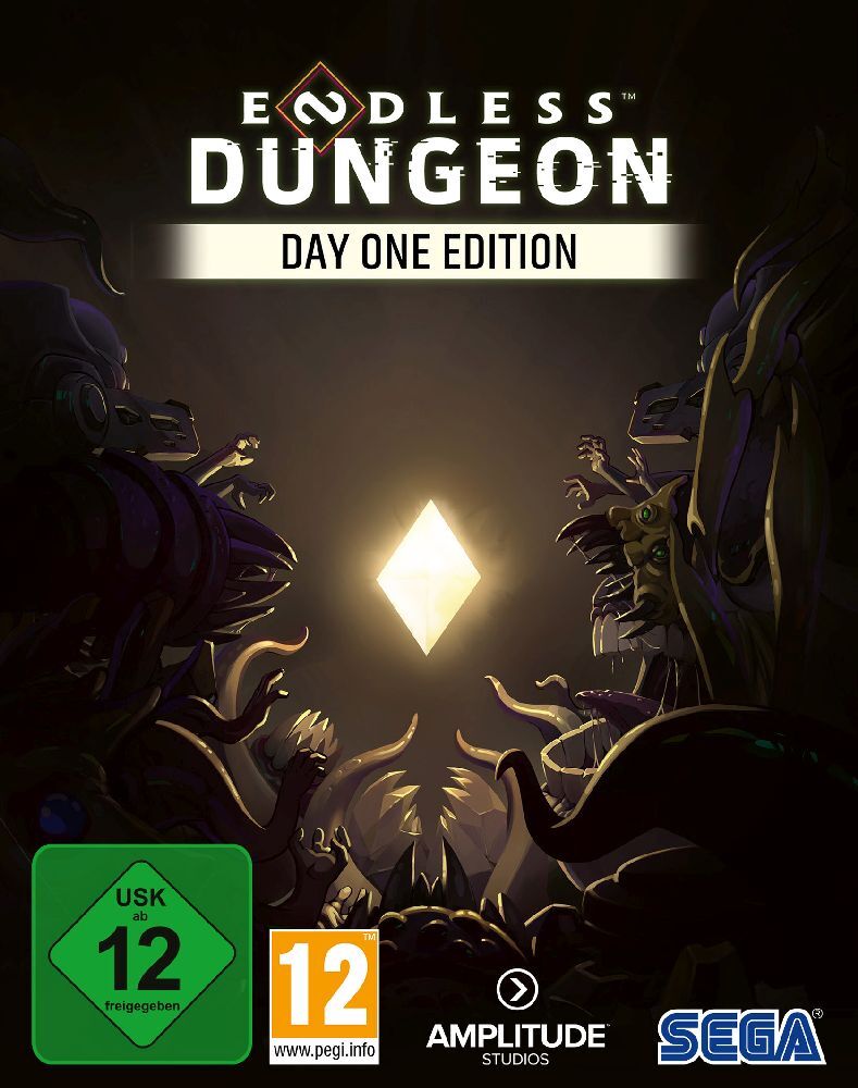 Endless Dungeon, Windows DVD, 1 DVD-ROM (Day One Edition) main product photo