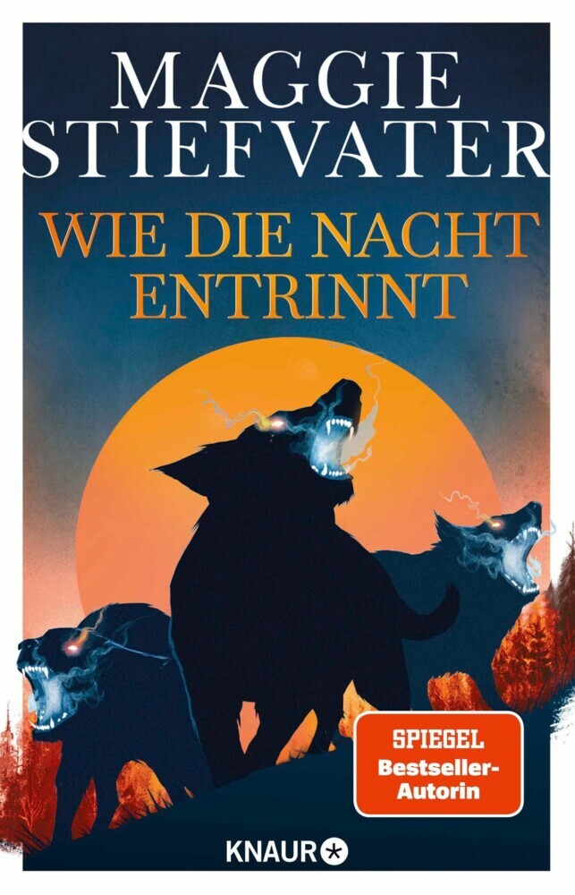 Wie die Nacht entrinnt main product photo