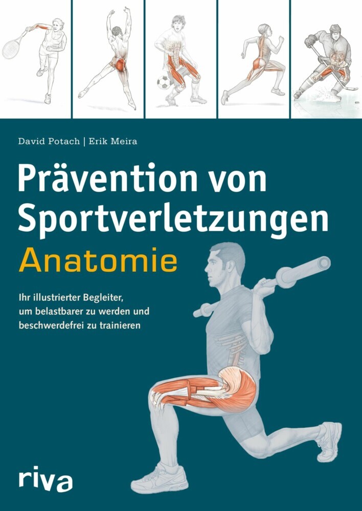 Prävention von Sportverletzungen - Anatomie main product photo