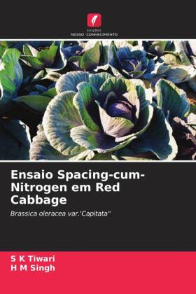 Ensaio Spacing-cum-Nitrogen em Red Cabbage
