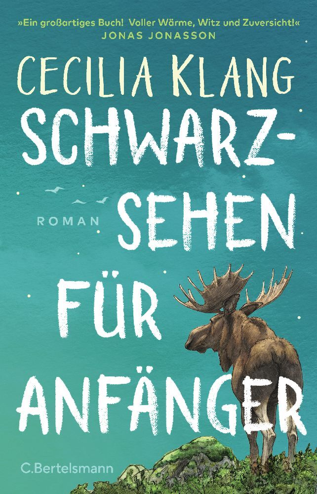 Schwarzsehen für Anfänger main product photo