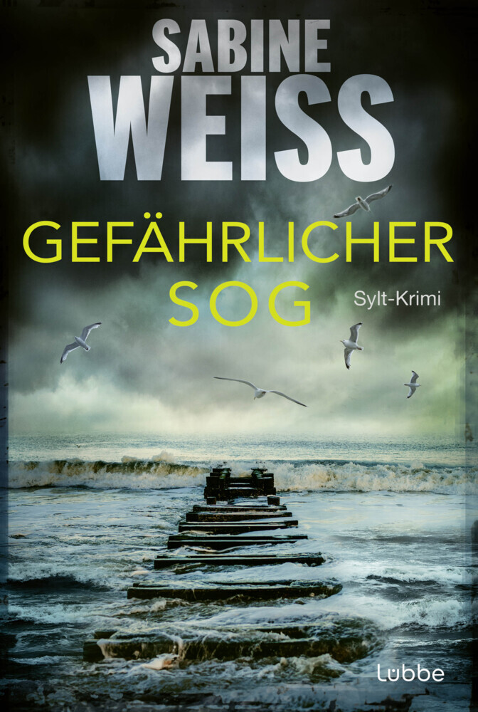 Gefährlicher Sog main product photo