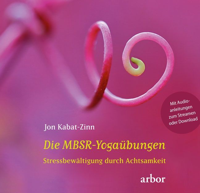 Die MBSR-Yogaübungen main product photo