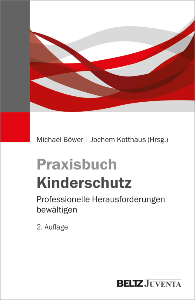 Praxisbuch Kinderschutz main product photo