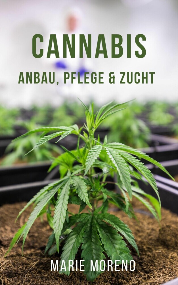 Cannabis main product photo
